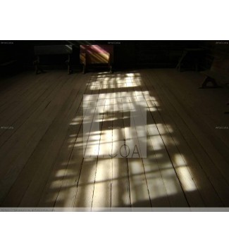 REFLEJO