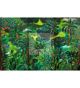 Selva Colombiana