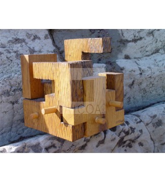 PUZZELOGRAMO