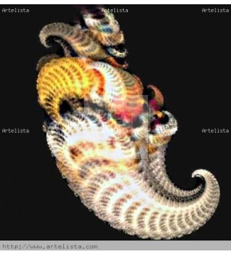 FRACTAL, CARACOLAS MARINAS