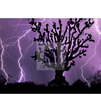 ARBOL  EN  LA  TORMENTA