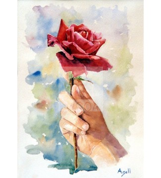 Una rosa per la pau
