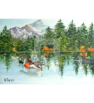 EL PATO EN EL LAGO