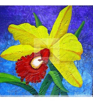 ORQUIDEA