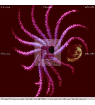 FRACTAL   IMAGEN ESTRELLA  DE  MAR  GIGANTE  ..