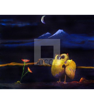 Buho de media noche