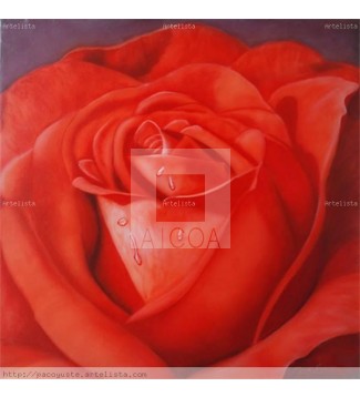 Rosa roja plano detalle