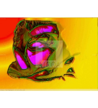 Rose A