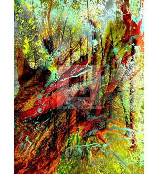 ARBOL 01