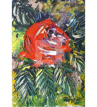 ''la rosa''