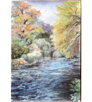 AVOCA RIVER  (Irlanda)