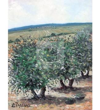 olivos