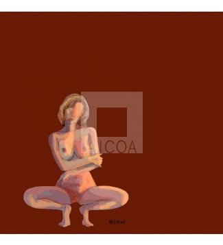 torso 14