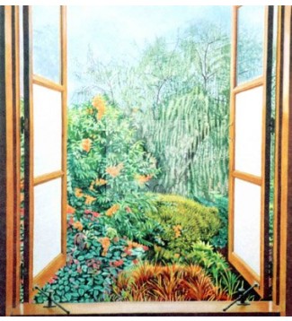La Ventana
