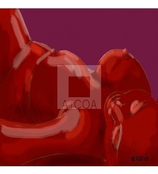 torso 9