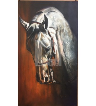FURIA EQUINA