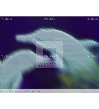 ENCUENTRO DE DELFINES  EN   NETART/ARTEDIGITAL