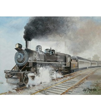 el tren