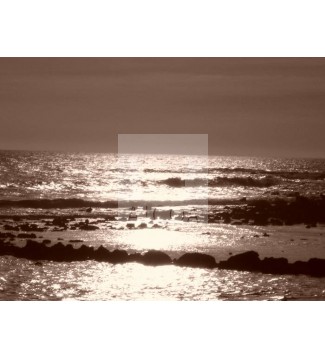 mar de plata8