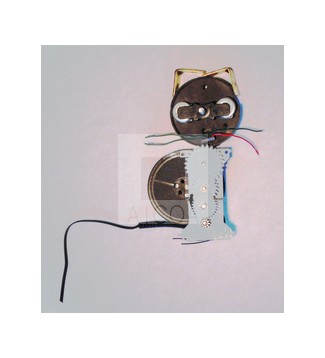 GATO CHISPA