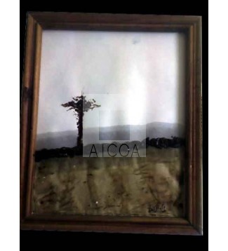 Árbol buscando el horizonte, mientras el sol es invisible.