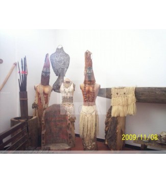 paso VII