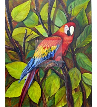 Guacamaya Colombiana