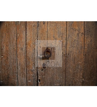 ''Anillo de memoria en madera viva'' 