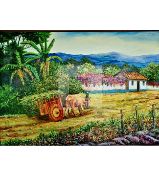casa ñeco