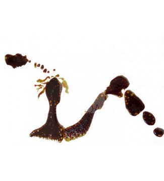 MUJER DE CARAMELO