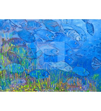 lOS PECES VAN A LA ESCUELA