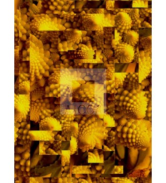 FRACTAL FRAGMENTADO