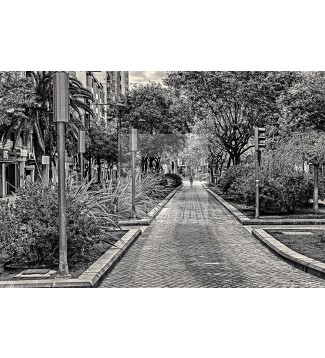 CALLE 36
