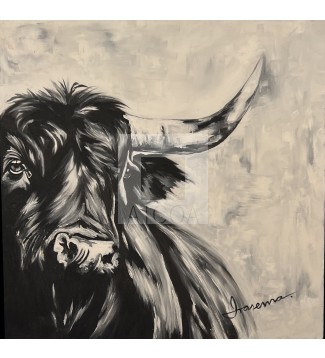 Toro II