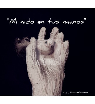 Mi NIDO EN TUS MANOS