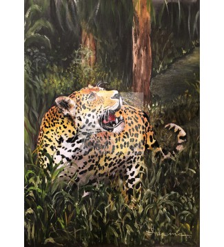 Jaguar 3