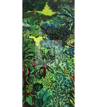 Selva Colombiana