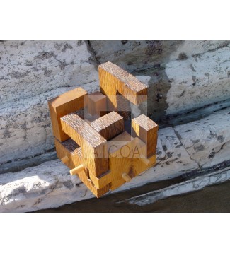 PUZZELOGRAMO