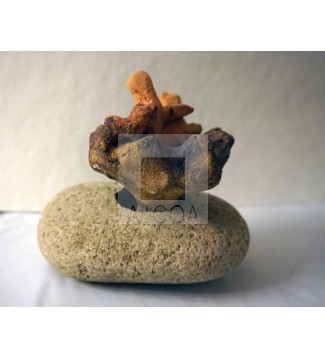 PIEDRA Y CERÁMICA EN FLOR, DOS MUNDOS AFINES
