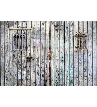 PUERTA DE YUCATAN