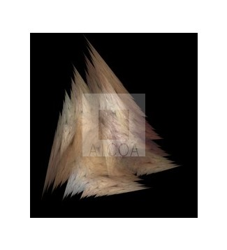 FRACTAL PLUMÍFERO