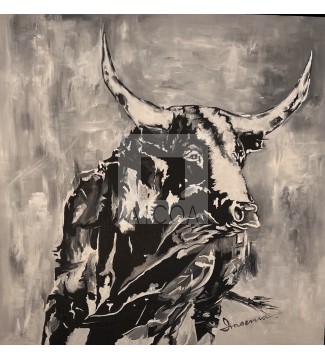 Toro VI