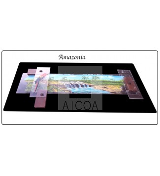 Amazonica 1