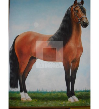 EQUINO DE TROCHA PURA COLOMBIANA