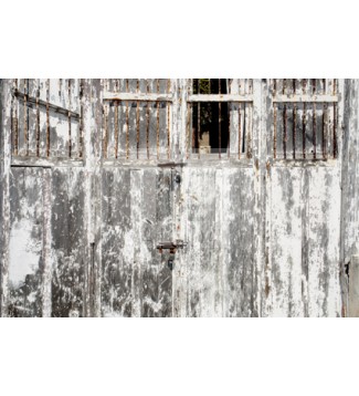 LA PUERTA DE YUCATAN
